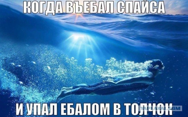Всего понемногу. От 14.11.2024