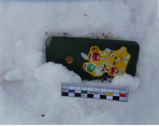 В Мордовии браконьер убил косулю и потерял на месте мобильный телефон