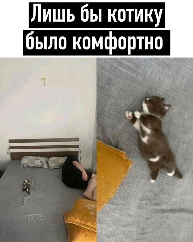 Так себе картинки 19.03.25