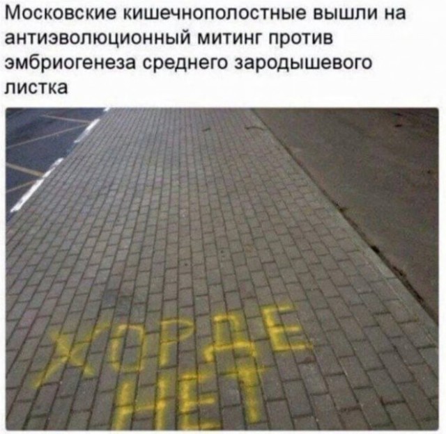 Веселые картинки в пятницу (18.04)