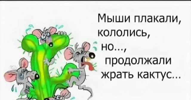 Мурманск в биде!
