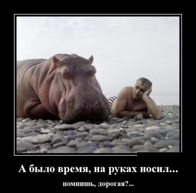 Специально для деградантов, кто ещё не спит. Смесь баянов с дичью