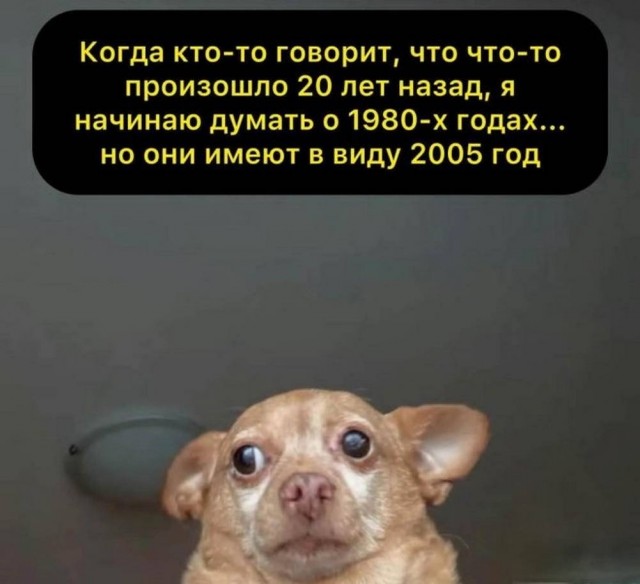 Веселое настроение в картинках 08.08.25