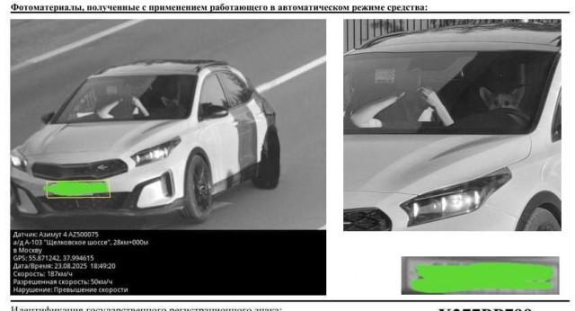 Самый быстрый корги Москвы попал на городские камеры