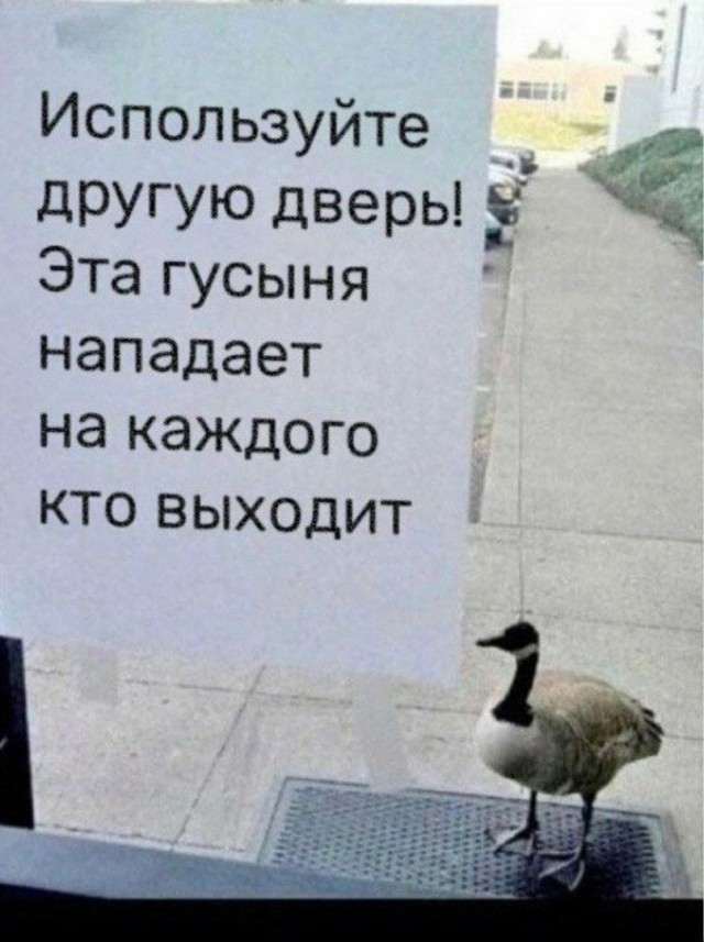 Так себе картинки 06.10.25