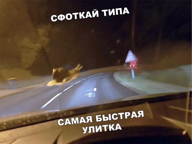 Картинки , вторник 14-е