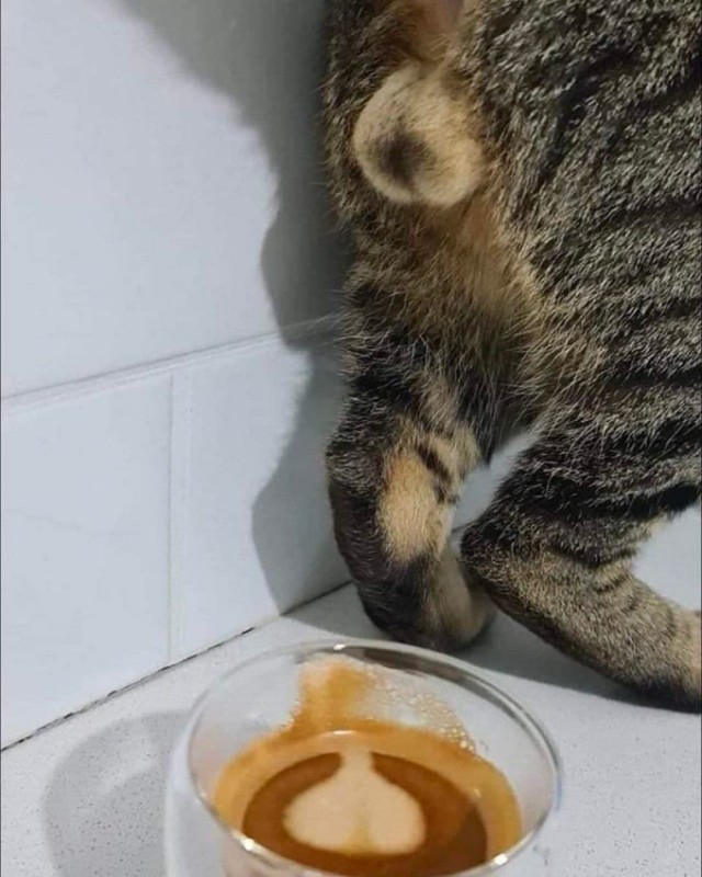 Воскресные картинки