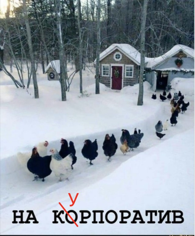 Картинки для деградации 112 (разной степени свежести)