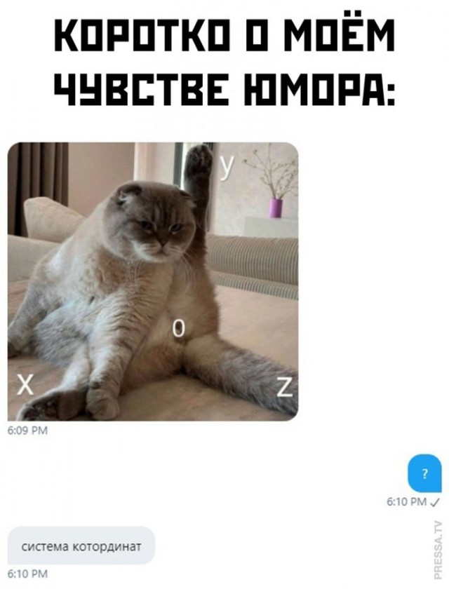 Веселые картинки в понедельник (который вторник) (10.03)