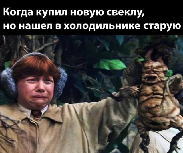 Четверговые картинки