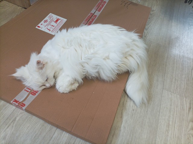 А почему женщин раздражает "являющийся на диване" муж?