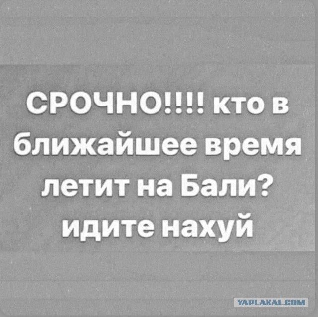 Картинки для деградации 226 (разной степени свежести)