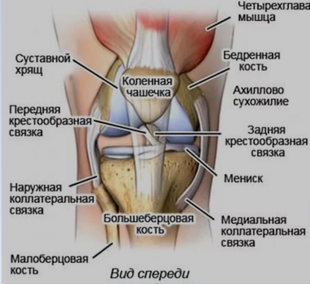 Отрыв надколенных связок, предварительно, диагностировали у зрителя силового экстрима в Брянске