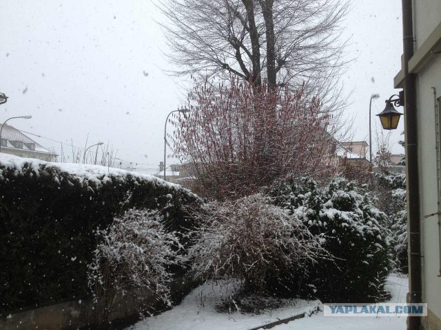 Поездка в Швейцарию