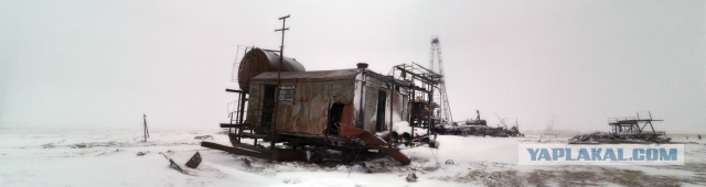 Полуостров ЯМАЛ зимой и летом