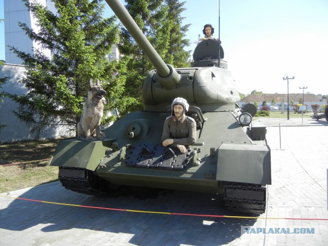 Wargaming 12, WoT сотоварищи