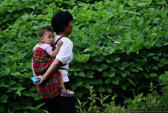 КНДР приоткрыла экспортные ворота для РФ