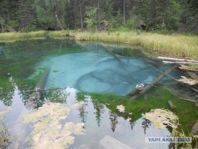 Плюсомет со шпалометом