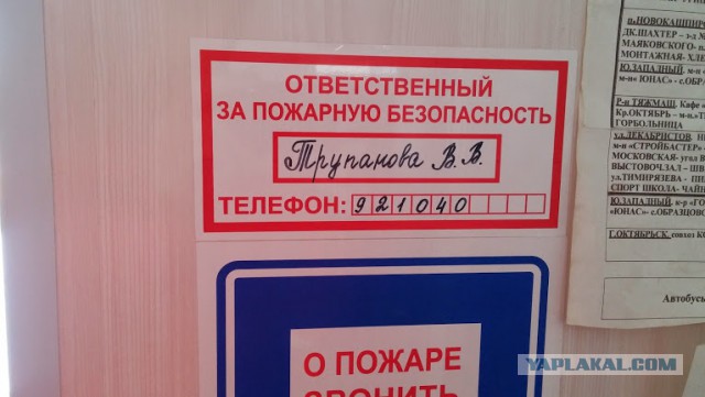 20 случаев, когда фамилия и профессия созданы друг