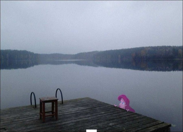 Забавные коллажи