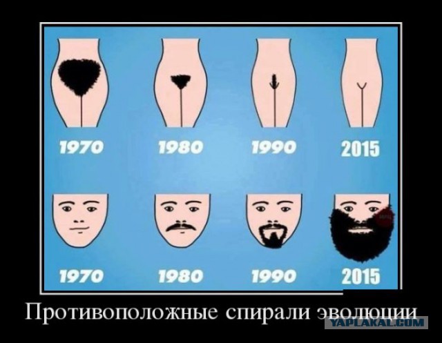 Картинки с просторов на четверг