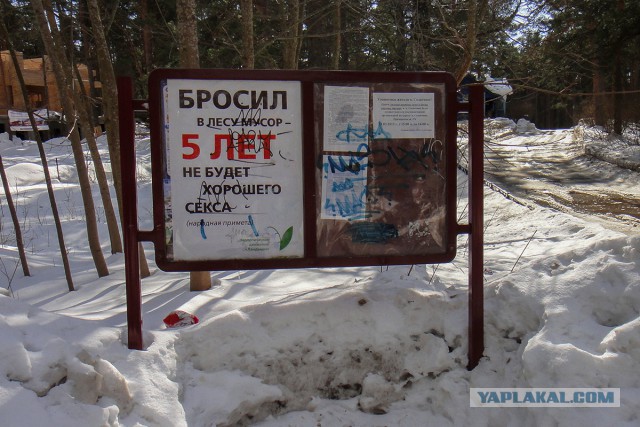 Весёлые картинки