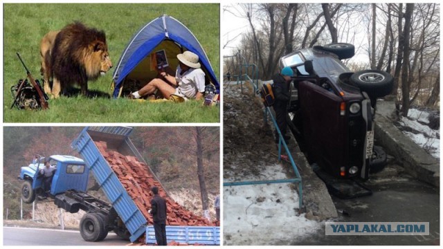 20 человек, поставивших себя в затруднительное положение