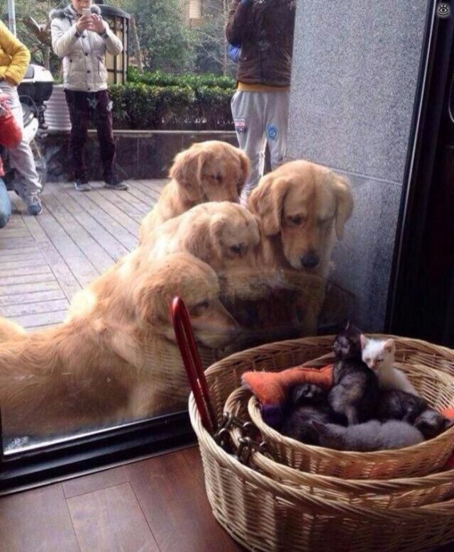 Подборка интересных и веселых фото