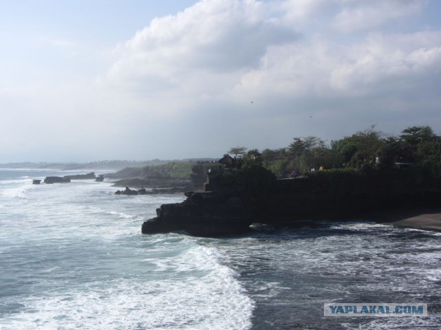 Подборка интересных и веселых картинок