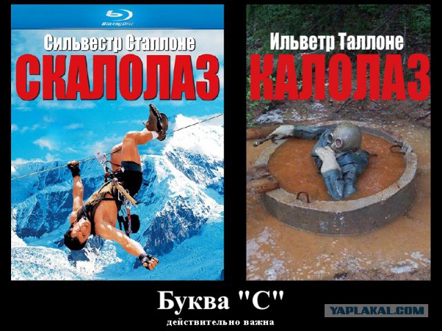Подборка фот из этих Ваших интернетов