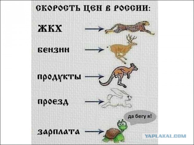 Бензин подорожает: надо строить дороги