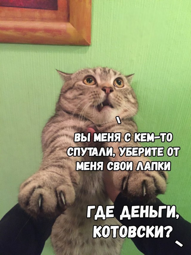 Подсобирал немного картинок .... местами с юмором