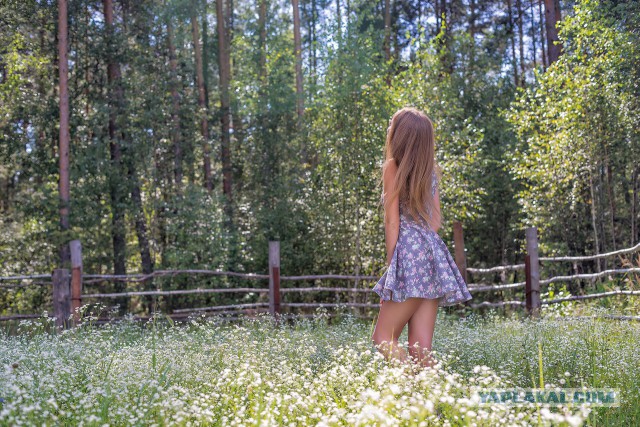 Соцсети. Муклам вход воспрещён