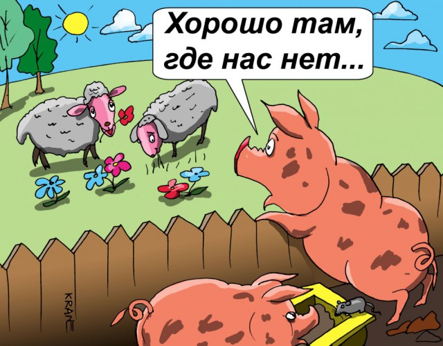 Почему я хочу уехать из России
