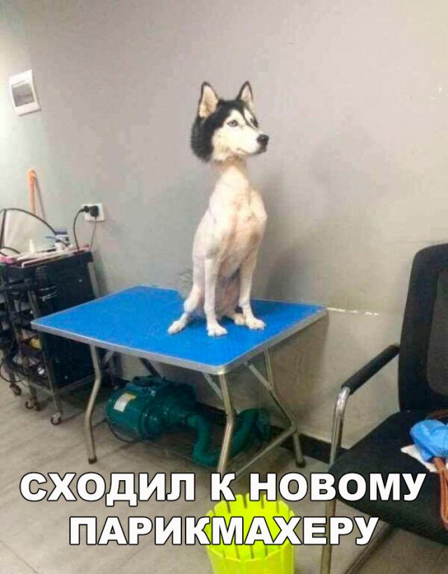 Нестандартный юмор