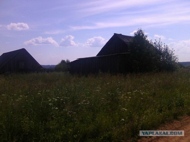 Командировка. В леса