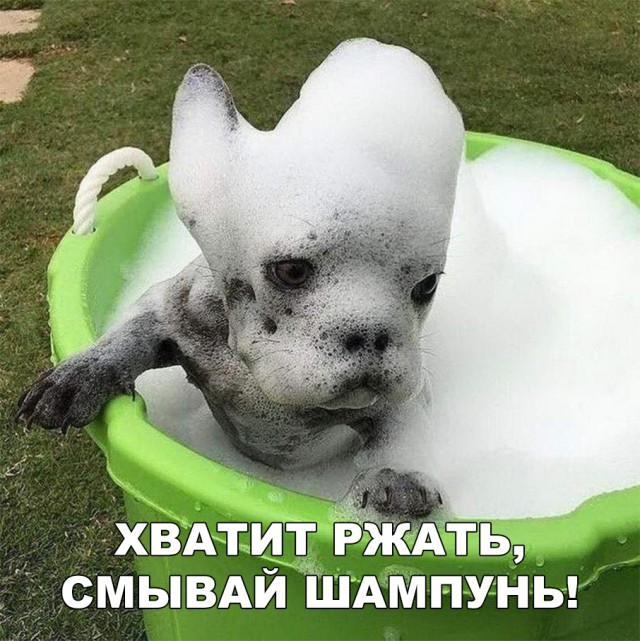 Нестандартный юмор