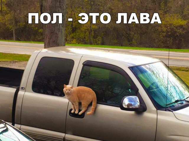 Нестандартный юмор