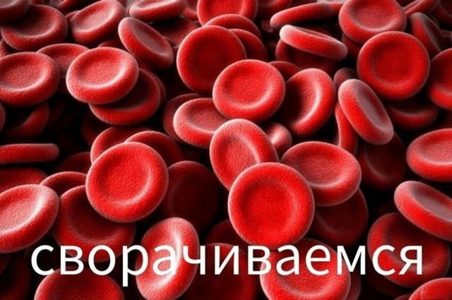 Подборка интересных и веселых картинок 21.03.19