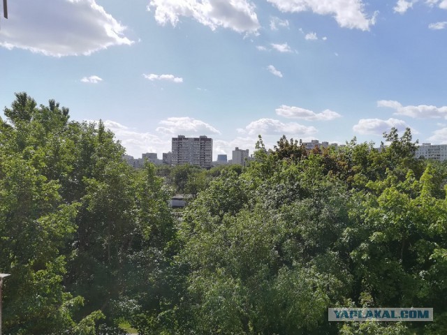 Лето, делимся видом из окна