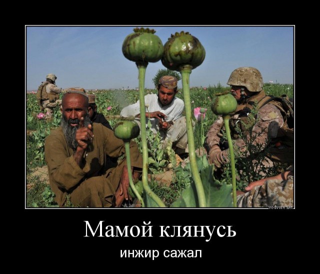 Посеешь пшеницу...
