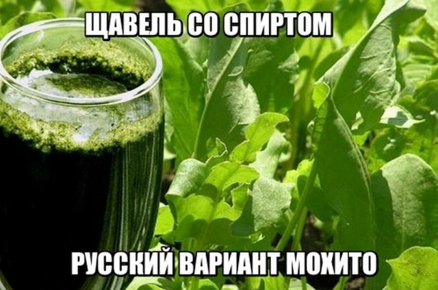 Немного картинок с надписями и без - 8
