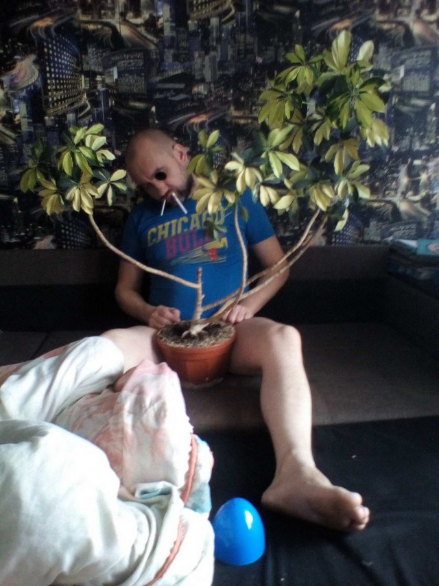 Скотсети и прочие интернеты 05.07.19