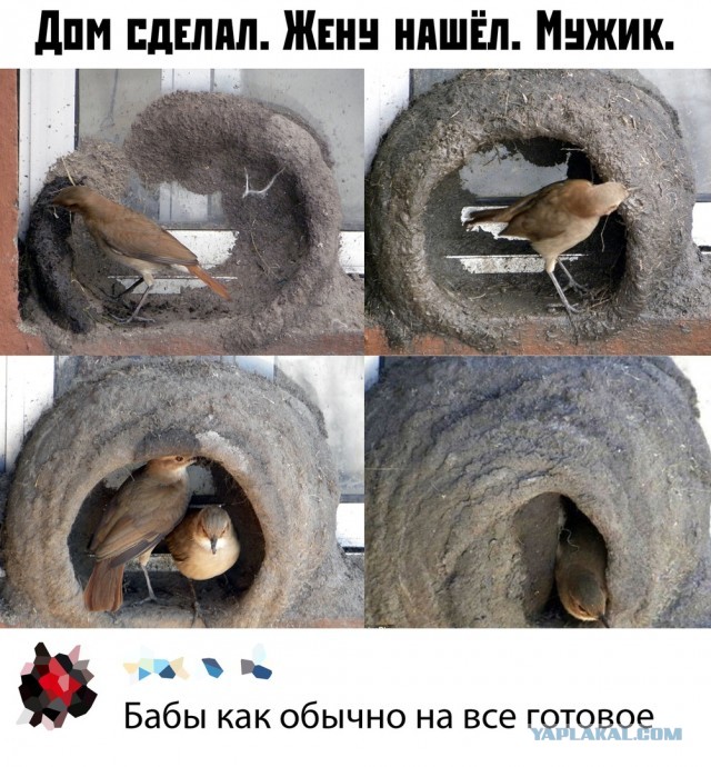 Картинки с надписями, истории и анекдоты 02.11.19