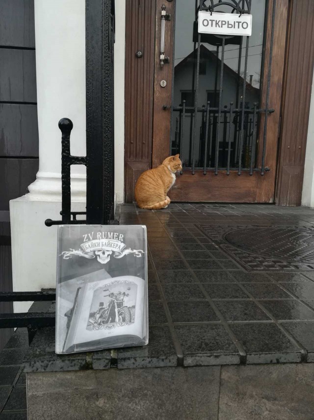 ЯП вокруг света. Германия, Австралия, Китай...