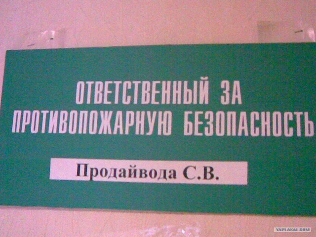 Подмосковная таможня отжигает (2 фото)