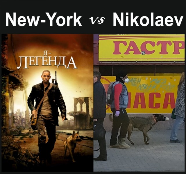 Картинки забавные и не очень