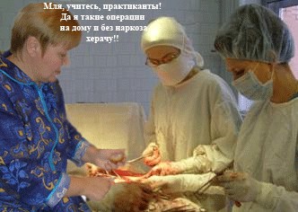 Фотожаба: Грибы на ноутбуке