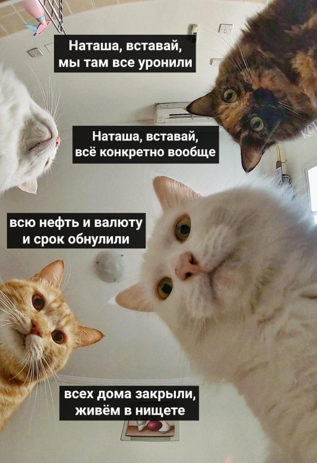 Наташа, вставай!