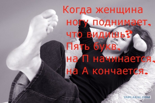 Недетские загадки для ЯПлакалъ